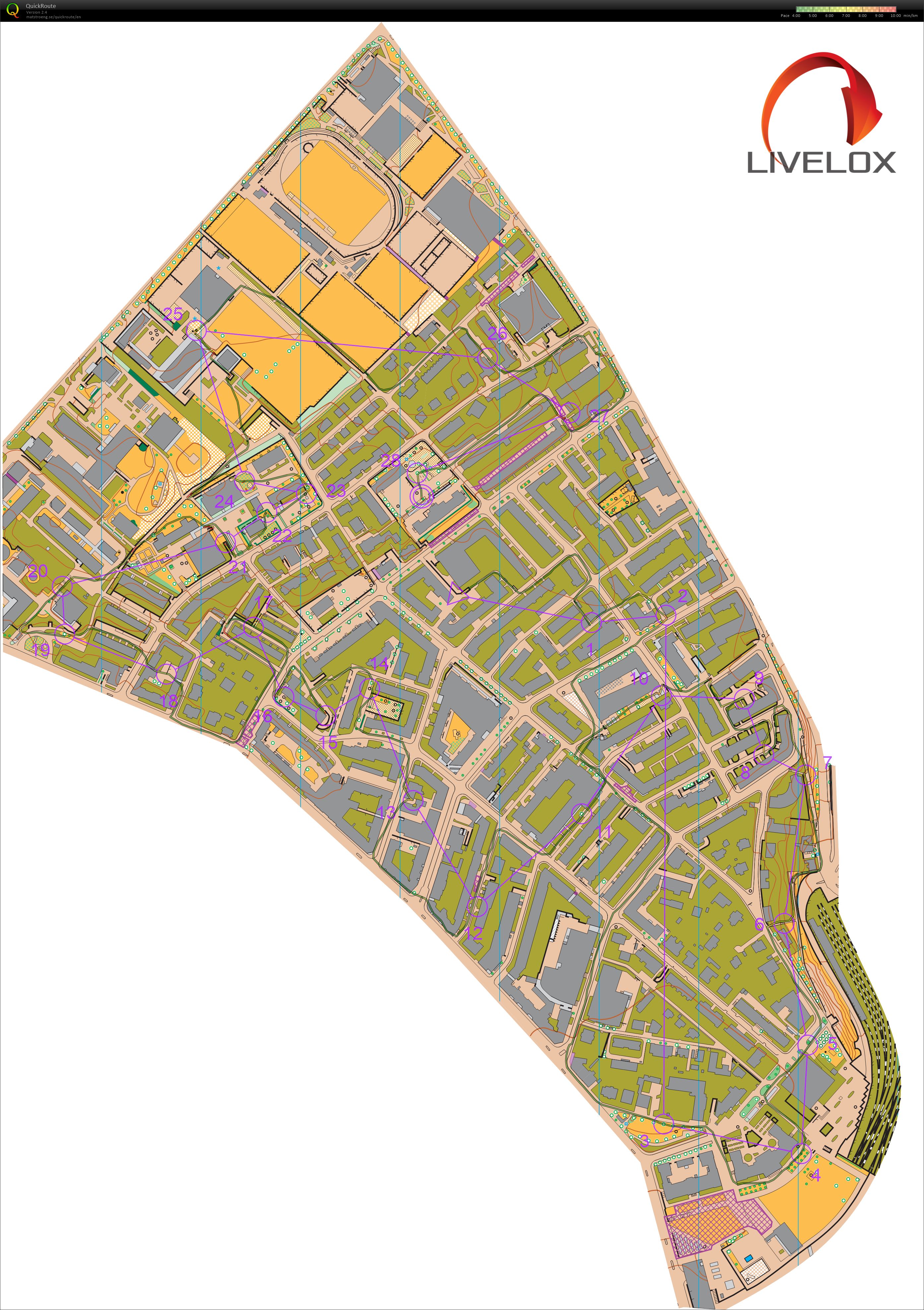 3. Berner Abendlauf 2025 (25/06/2025)