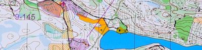 Kuopio-Jukola 2014 (14/06/2014)